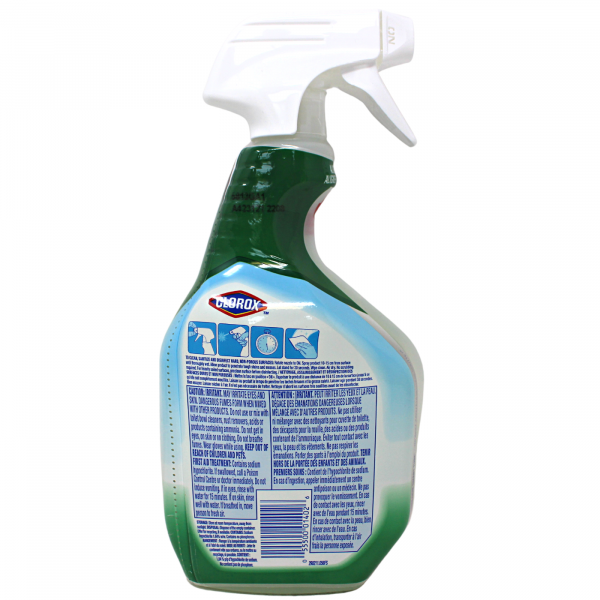 CLOROX SPRAY 946ML CLEAN UP BLEACH (B) /R14-12 ()