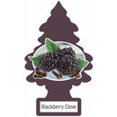 LITTLE TREES BLACKBERRY CLOVE (B) /24X6 ()