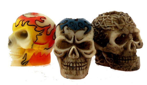 BUTT HEADS SNUFFER SKULL DESIGNS ASSORTED DISPLAY