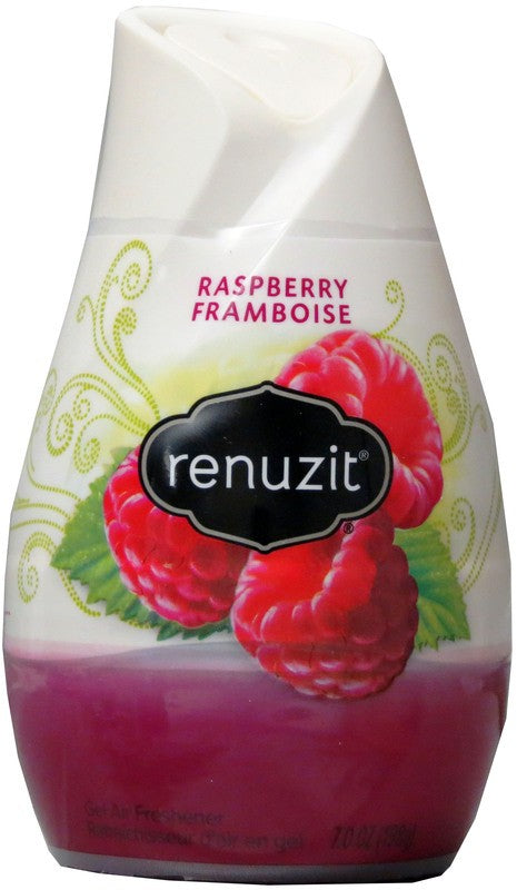 RENUZIT AIR FRESHNER RASBERRY 198g