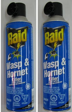 RAID� WASP & HORNET BUG KILLER 400G