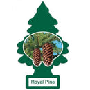 LITTLE TREES ROYAL PINE (B) /24X6 ()