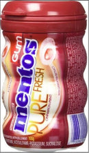 MENTOS GUM CINNAMON MINT 6/6CT