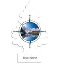 LITTLE TREES TRUE NORTH (B) /24X6 ()