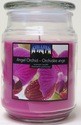 CITI-LITES 18 OUNCE APOTHECARY JAR ANGEL ORCHID