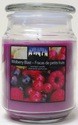 CITI-LITES 18 OUNCE APOTHECARY JAR WILD BERRY BLAST