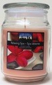 CIT-LITES 18 OUNCE APOTHECARY JAR RELAXING SPA