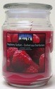 CITI-LITES 18 OUNCE APOTHECARY JAR RASPBERRY SORBET