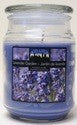 CITI-LITES 18 OUNCE APOTHECARY JAR LAVENDER GARDEN