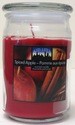 CITI-LITES 15 OUNCE APOTHECARY JAR SPICED APPLE CINNAMON