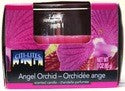 CITI-LITES 3 OUNCE BOXED GLOBE JAR ANGEL ORCHID..