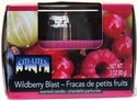 CITI-LITES 3 OUNCE BOXED GLOBE JAR WILD BERRY BLAST