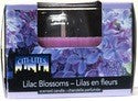 CITI-LITES 3 OUNCE BOXED GLOBE JAR LILAC BLOSSOM