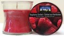 CITI-LITES 2.5 OZ HOURGLASS JAR RASPBERRY SORBET....