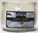 CITI-LITES 3 OZ ROUND JAR WITH ACETATE LID GARDENIA