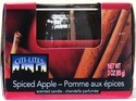 CITI-LITES 3 OUNCE BOXED GLOBE JAR SPICED APPLE CINNAMON