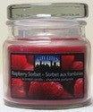 CITI-LITES 2.5 OUNCE APOTHECARY JAR RASPBERRY SORBET ....