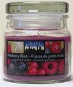CITI-LITES 2.5 OUNCE APOTHECARY JAR WILD BERRY BLAST