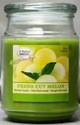 BAKERY SHOP 18 OUNCE SCENTED CANDLES FRESH CUT MELON ..