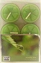 CITI-LITES SCENTED TEALITES 6 PACK MORNING DEW
