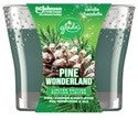 GLADE JAR CANDLE PINE WONDERLAND 1 PACK